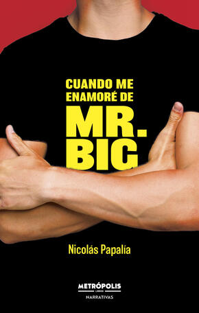 Cuando me enamoré de Mr. Big